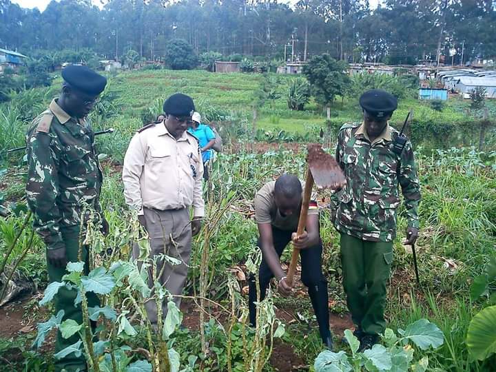 Green Force Patrol - police planting trees